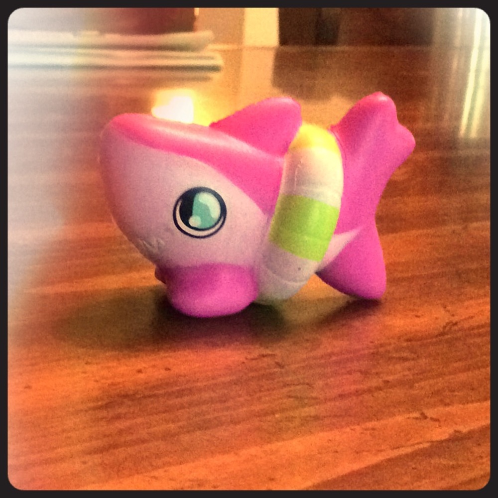 Shark in a lifesaver